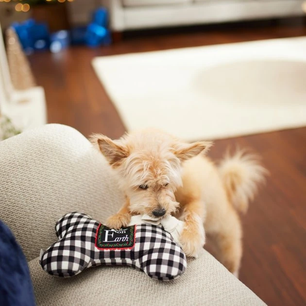 Frisco Holiday "All Is Bright" Reversible Bone Plush Squeaky Dog Toy 6 Frisco Holiday "All Is Bright" Reversible Bone Plush Squeaky Dog Toy - Image 4