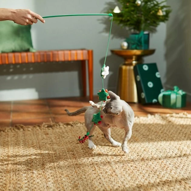 Frisco Holiday Winter Flowers Teaser Cat Toy with Catnip 5 Frisco Holiday Winter Flowers Teaser Cat Toy with Catnip - Image 3