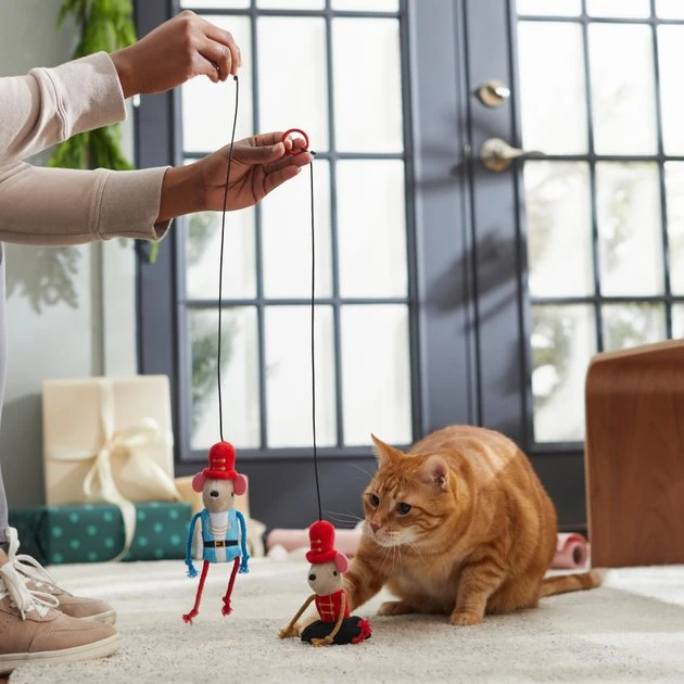 Frisco Nutcracker & Ballerina Bouncy Mouse Teaser Cat Toy with Catnip, 2 count 5 Frisco Nutcracker & Ballerina Bouncy Mouse Teaser Cat Toy with Catnip, 2 count - Image 3