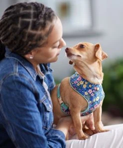 Frisco Fashion Over-The-Head Harness, Tropical Floral -Frisco Sales 2024 287471 PT8. SY630 V1632316061