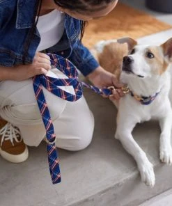 Frisco Fashion Leash, Brown Plaid -Frisco Sales 2024 287491 PT8. SY630 V1632317010