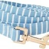 Frisco Fashion Leash, Striped