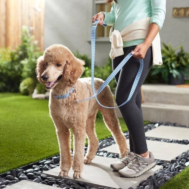 Frisco Fashion Leash, Striped 6 Frisco Fashion Leash, Striped - Image 4