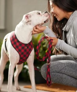 Frisco Fashion Leash, Buffalo Plaid -Frisco Sales 2024 287498 PT8. SY630 V1632315183