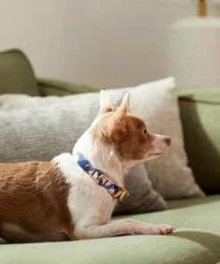 Frisco Fashion Collar, Pink Plaid 9 Frisco Fashion Collar, Pink Plaid -Frisco Sales 2024 287510 PT8. SY630 V1632316374