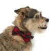 Frisco Removeable Fashion Collar Bow, Buffalo Plaid -Frisco Sales 2024 287530 MAIN. SY630 V1632279095