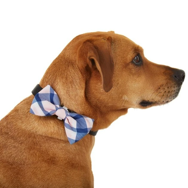 Frisco Fashion Bow, Pink Plaid 3 Frisco Fashion Bow, Pink Plaid