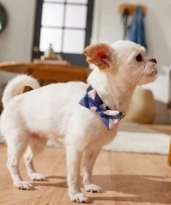 Frisco Fashion Bow, Pink Plaid 11 Frisco Fashion Bow, Pink Plaid -Frisco Sales 2024 287531 PT8. SY630 V1632315820