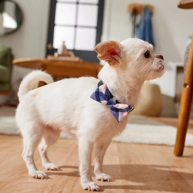 Frisco Fashion Bow, Pink Plaid 7 Frisco Fashion Bow, Pink Plaid - Image 5