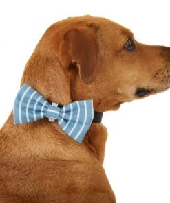 Frisco Fashion Bow, Striped