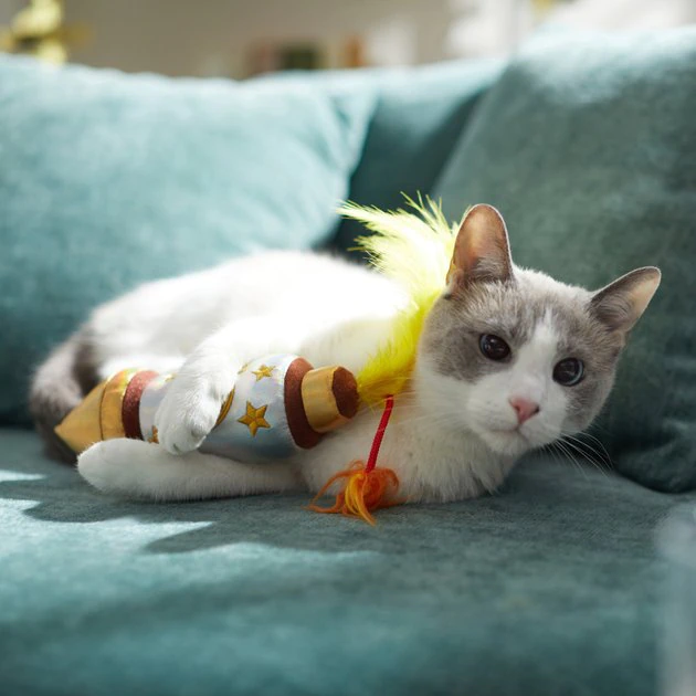 Frisco New Year's Eve Firework Plush Kicker Cat Toy with Catnip Frisco New Year's Eve Firework Plush Kicker Cat Toy with Catnip -Frisco Sales 2024 288474 PT3. SY630 V1638288685