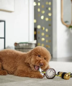 Frisco New Year's Eve Midnight Countdown Plush with Rope Squeaky Dog Toy 7 Frisco New Year's Eve Midnight Countdown Plush with Rope Squeaky Dog Toy -Frisco Sales 2024 288478 PT3. SY630 V1638289625