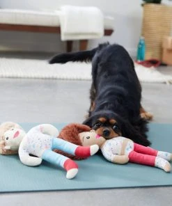 Frisco Dance Girls Plush Squeaky Dog Toy, 2 count 7 Frisco Dance Girls Plush Squeaky Dog Toy, 2 count -Frisco Sales 2024 288899 PT3. SY630 V1638288432