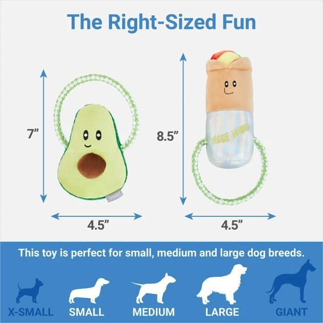 Frisco Healthy Snack Plush with Rope Dog Toy, 2 count Frisco Healthy Snack Plush with Rope Dog Toy, 2 count -Frisco Sales 2024 288901 PT1. SY630 V1640722315