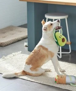 Frisco Healthy Snack Plush with Rope Dog Toy, 2 count 4 Frisco Healthy Snack Plush with Rope Dog Toy, 2 count -Frisco Sales 2024 288901 PT3. SY630 V1638291173