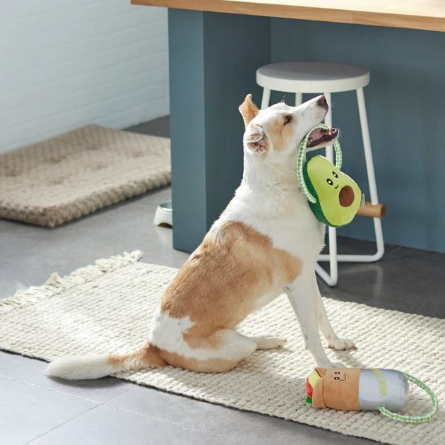 Frisco Healthy Snack Plush with Rope Dog Toy, 2 count Frisco Healthy Snack Plush with Rope Dog Toy, 2 count -Frisco Sales 2024 288901 PT3. SY630 V1638291173