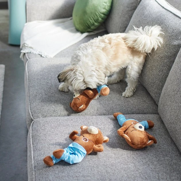 Frisco Yoga Bear Plush Squeaky Dog Toy, 3 count Frisco Yoga Bear Plush Squeaky Dog Toy, 3 count -Frisco Sales 2024 288905 PT3. SY630 V1638291398