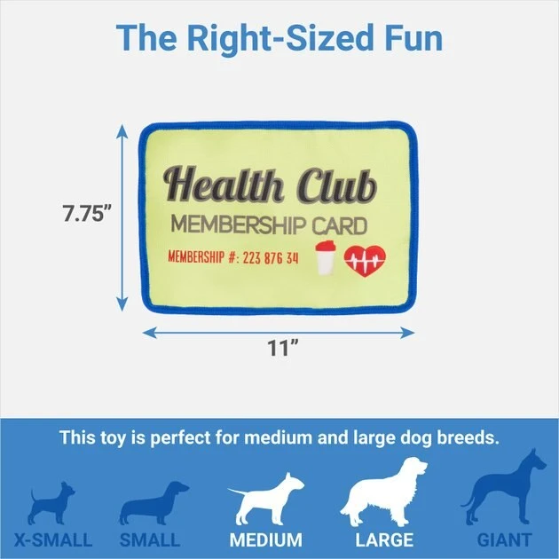Frisco Gym Membership Card Flat Plush Squeaky Dog Toy Frisco Gym Membership Card Flat Plush Squeaky Dog Toy -Frisco Sales 2024 288909 PT1. SY630 V1640722985