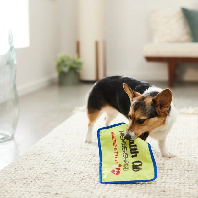 Frisco Gym Membership Card Flat Plush Squeaky Dog Toy Frisco Gym Membership Card Flat Plush Squeaky Dog Toy -Frisco Sales 2024 288909 PT3. SY630 V1638288963