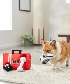 Frisco Gym Bag Hide & Seek Puzzle Plush Squeaky Dog Toy -Frisco Sales 2024 288913 PT3. SY630 V1638289728