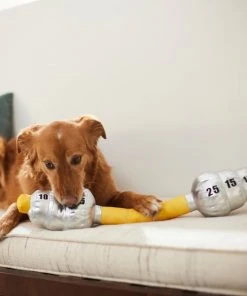 Frisco Weight Bar Wagazoo Plush Squeaky Dog Toy -Frisco Sales 2024 288917 PT3. SY630 V1638292413