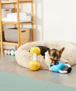 Frisco Dumbell & Kettleball Plush Squeaky Dog Toy, 2 count -Frisco Sales 2024 288919 PT3. SY630 V1638288628
