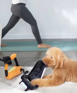 Frisco Treadmill & Bike Plush Squeaky Dog Toy, 2 count 7 Frisco Treadmill & Bike Plush Squeaky Dog Toy, 2 count -Frisco Sales 2024 288921 PT3. SY630 V1638290517