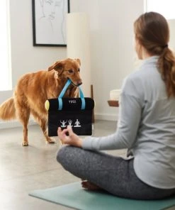 Frisco Yoga Mat Plush Squeaky Dog Toy 4 Frisco Yoga Mat Plush Squeaky Dog Toy -Frisco Sales 2024 288923 PT3. SY630 V1638290551