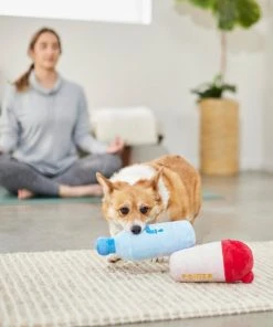 Frisco Protein & Water Bottle Cruncher Dog Toy, 2 count -Frisco Sales 2024 288927 PT3. SY630 V1638291847