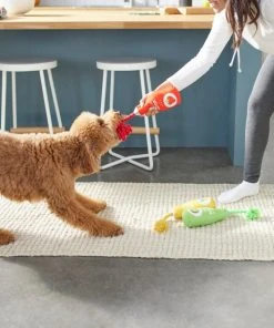 Frisco Juice Cleanse Plush Squeaky Dog Toy, 3 count 7 Frisco Juice Cleanse Plush Squeaky Dog Toy, 3 count -Frisco Sales 2024 288929 PT3. SY630 V1638289348