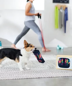 Frisco TV & VHS Tape Plush Squeaky Dog Toy, 2 count 7 Frisco TV & VHS Tape Plush Squeaky Dog Toy, 2 count -Frisco Sales 2024 288935 PT3. SY630 V1638291435