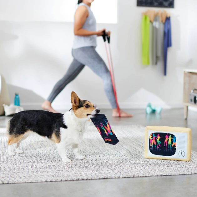 Frisco TV & VHS Tape Plush Squeaky Dog Toy, 2 count 5 Frisco TV & VHS Tape Plush Squeaky Dog Toy, 2 count - Image 3