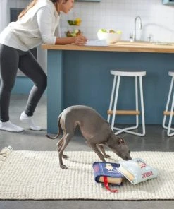 Frisco Cookbooks Plush Squeaky Dog Toy, 2 count 7 Frisco Cookbooks Plush Squeaky Dog Toy, 2 count -Frisco Sales 2024 288937 PT3. SY630 V1638287852