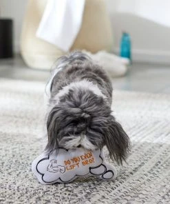 Frisco Message Bubble Plush Squeaky Dog Toy -Frisco Sales 2024 288941 PT3. SY630 V1638289328