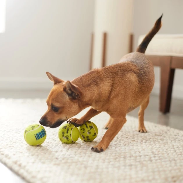 Frisco Motivational Tennis Balls Plush Squeaky Dog Toy, 3 count 5 Frisco Motivational Tennis Balls Plush Squeaky Dog Toy, 3 count - Image 3