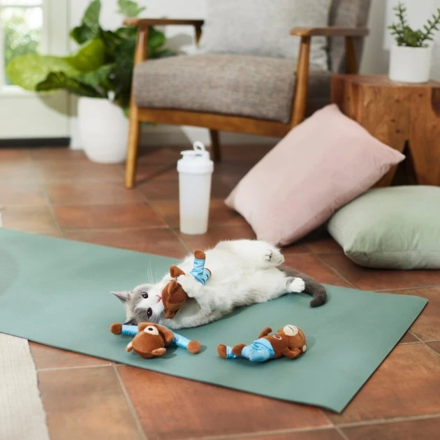 Frisco Yoga Bear Plush Cat Toy with Catnip, 3 count 5 Frisco Yoga Bear Plush Cat Toy with Catnip, 3 count - Image 3