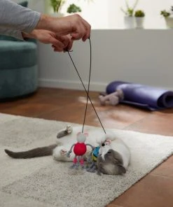 Frisco Gym Bouncy Mice Plush Cat Toy with Catnip, 2 count 7 Frisco Gym Bouncy Mice Plush Cat Toy with Catnip, 2 count -Frisco Sales 2024 288949 PT3. SY630 V1638289802