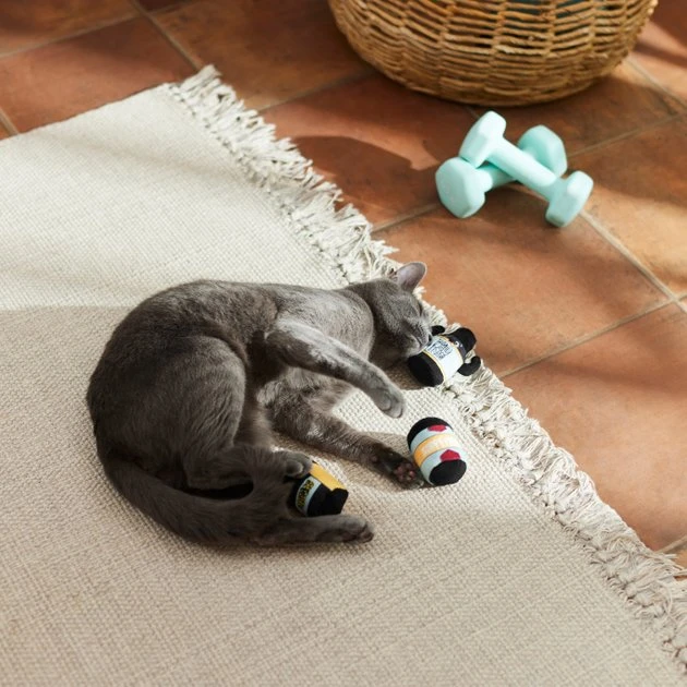 Frisco Pre-Workout & Protein Plush Cat Toy with Catnip, 3 count 5 Frisco Pre-Workout & Protein Plush Cat Toy with Catnip, 3 count - Image 3