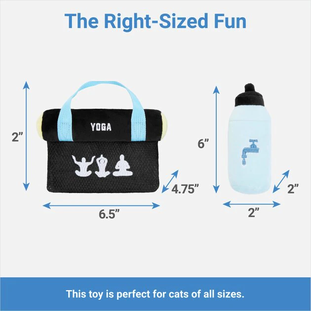 Frisco Yoga Mat & Water Bottle Plush Cat Toy with Catnip, 2 count 4 Frisco Yoga Mat & Water Bottle Plush Cat Toy with Catnip, 2 count - Image 2