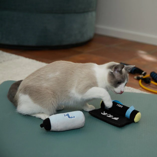 Frisco Yoga Mat & Water Bottle Plush Cat Toy with Catnip, 2 count 5 Frisco Yoga Mat & Water Bottle Plush Cat Toy with Catnip, 2 count - Image 3