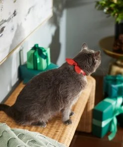 Frisco Holiday Hombre Cat Collar With Bow, Red, 8 - 12 inches, 3/8-in wide -Frisco Sales 2024 289696 PT8. SY630 V1632189993