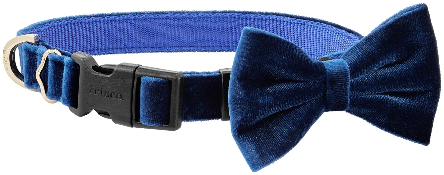 Frisco Velvet Dog Collar With Removeable Velvet Bow, Blue, XS - Neck: 8 - 12-in, Width: 5/8-in Frisco Velvet Dog Collar With Removeable Velvet Bow -Frisco Sales 2024 289734 MAIN. SY630 V1632185202