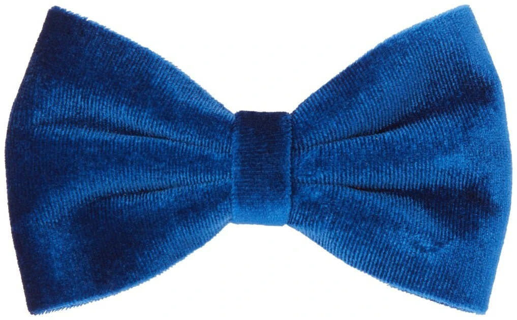 Frisco Velvet Dog Collar With Removeable Velvet Bow, Blue, XS - Neck: 8 - 12-in, Width: 5/8-in Frisco Velvet Dog Collar With Removeable Velvet Bow -Frisco Sales 2024 289734 PT3. SY630 V1632186483