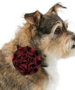 Frisco Removeable Collar Flower, Buffalo Check