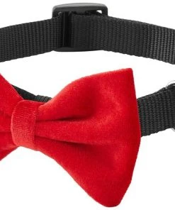 Frisco Removeable Velvet Collar Bow -Frisco Sales 2024 289810 PT5. SY630 V1632186369