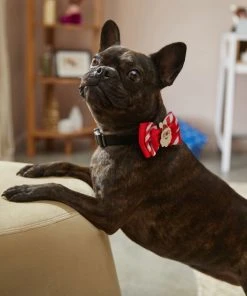 Frisco Removeable Santa & Stripes Collar Bow, XS/SM 11 Frisco Removeable Santa & Stripes Collar Bow, XS/SM -Frisco Sales 2024 289829 PT8. SY630 V1632188889