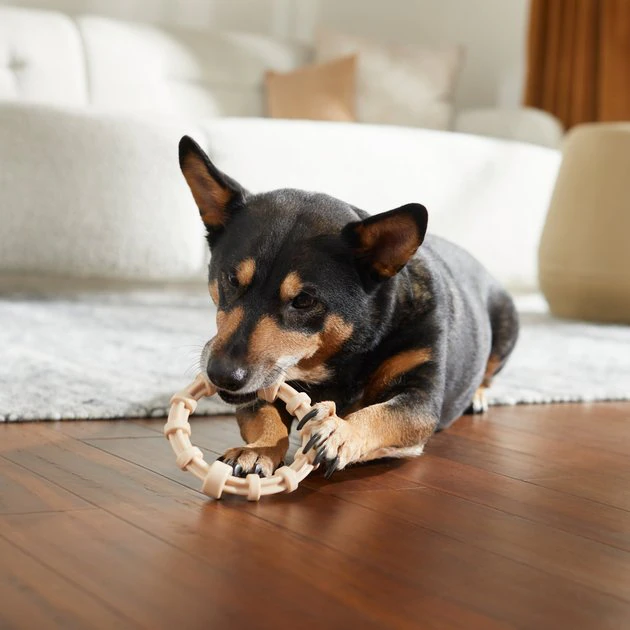 Frisco Nylon Ring Dog Chew Toy, Chicken Flavor, Medium 6 Frisco Nylon Ring Dog Chew Toy, Chicken Flavor, Medium - Image 4
