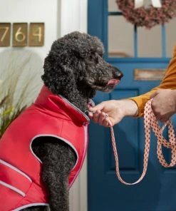 Frisco Fantastic Foxes Dog Leash -Frisco Sales 2024 291242 PT3. SY630 V1629487758