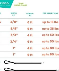 Frisco Fantastic Foxes Dog Leash -Frisco Sales 2024 291242 PT5. SY630 V1628828187