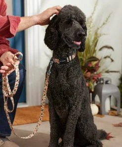 Frisco Thanksgiving Turkey Dog Leash 9 Frisco Thanksgiving Turkey Dog Leash -Frisco Sales 2024 291274 PT3. SY630 V1632337005